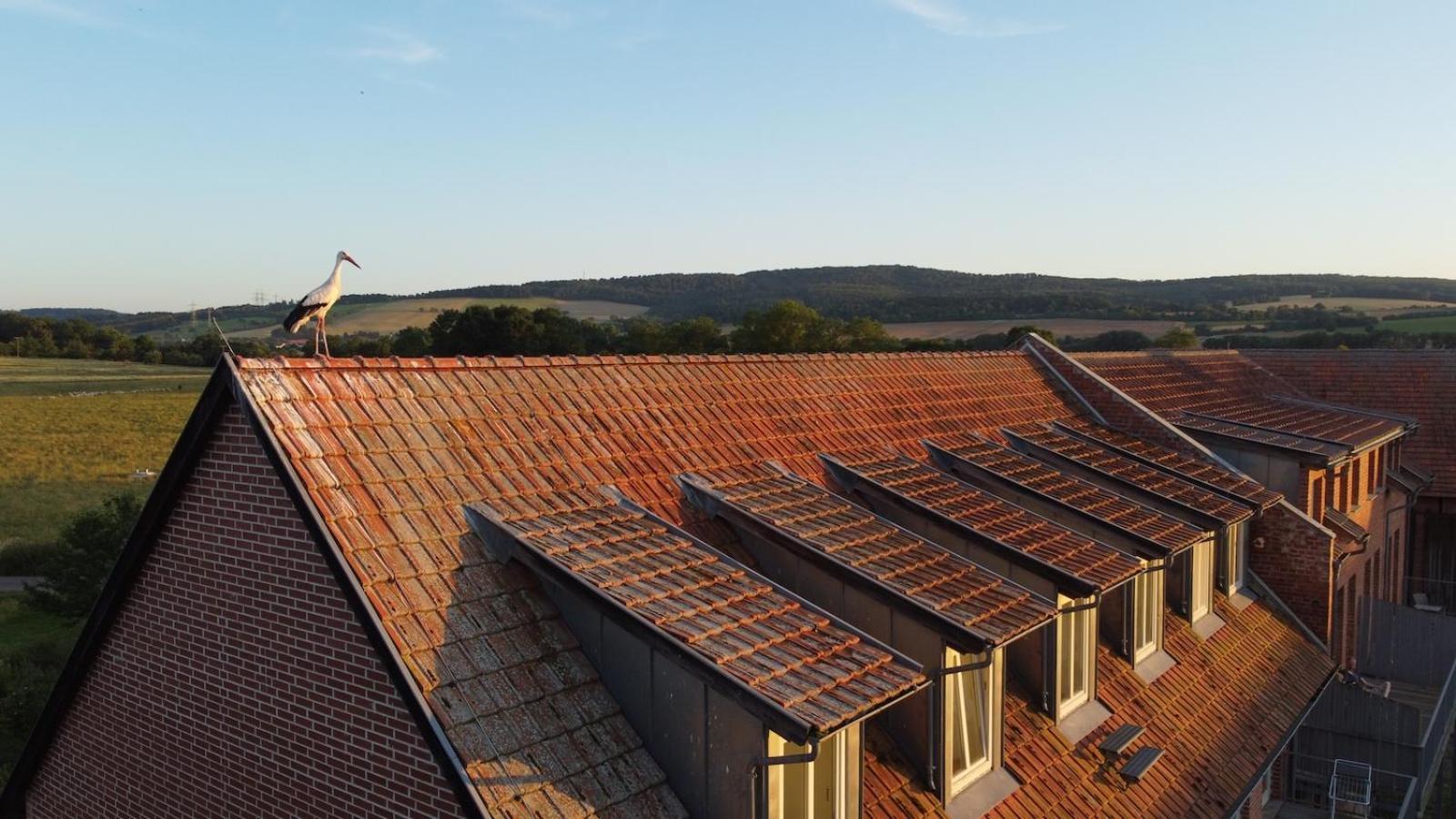 Biohotel Stiftsgut Wilhelmsgluecksbrunn Creuzburg Luaran gambar